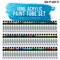 U.S. Art Supply 72 Color Professional Acrylic Paint Set in 12ml Tubes - Art Painting Supplies for Adults, Artists, Students, Beginners - Canvas Portrait Paintings
